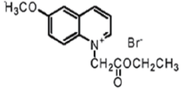 5f1f7a765b94e.png image.png