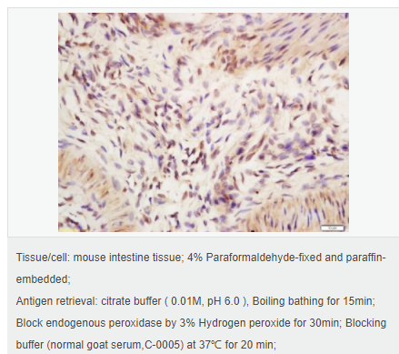 605460f6334f8.png image.png