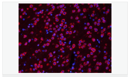 60594cd08e034.png image.png