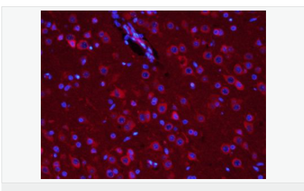 60594cd72c3d3.png image.png