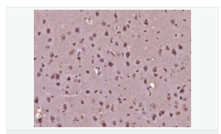 6066d65280ea0.png image.png