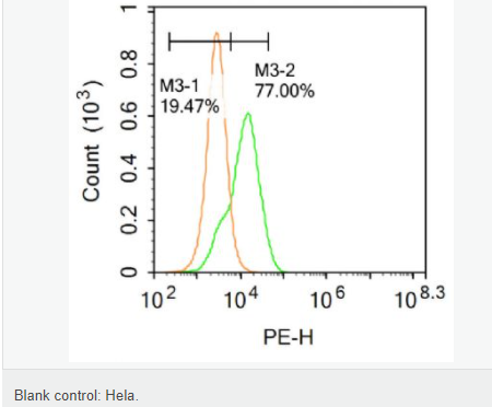 6076603522542.png image.png