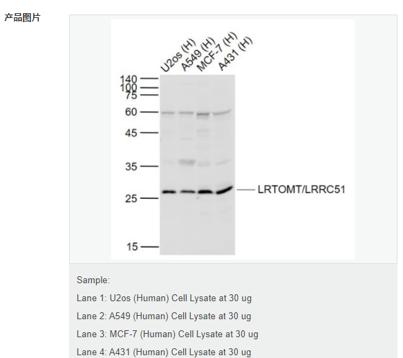 607687859e963.png image.png